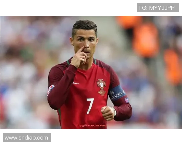 阳锐健身器材品牌特点与优势：为何这个品牌成为市场的领先者？