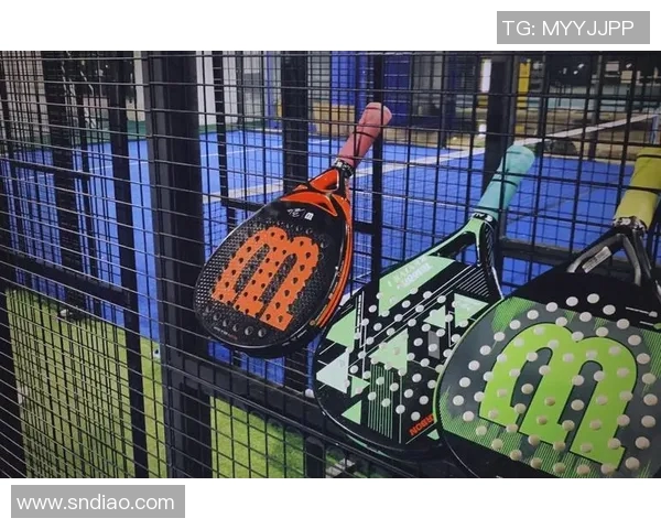 球类运动的魅力与发展趋势探索：从传统到创新的跨时代变革