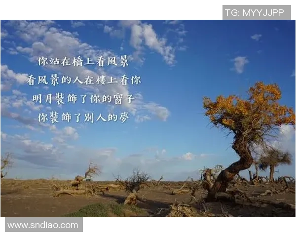 吴强专访：从初学者到攀岩高手的心路历程与成长故事